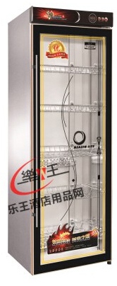 388L食具保洁消毒柜 低温臭氧碗筷消毒柜 消毒设备 LW-YTD388C钢